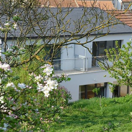 Apartamento Pod Králičím vrchem Milovice  Exterior foto